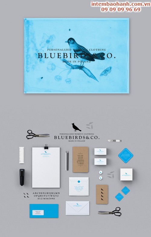 Bluebirds & Co